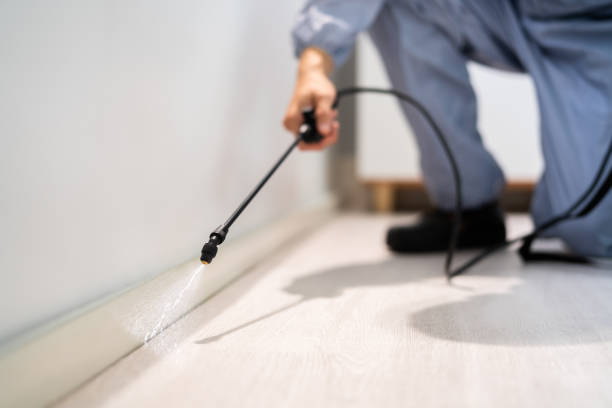 Licensed Pest Control service in St. Paul, VA - Nex Pest Control
