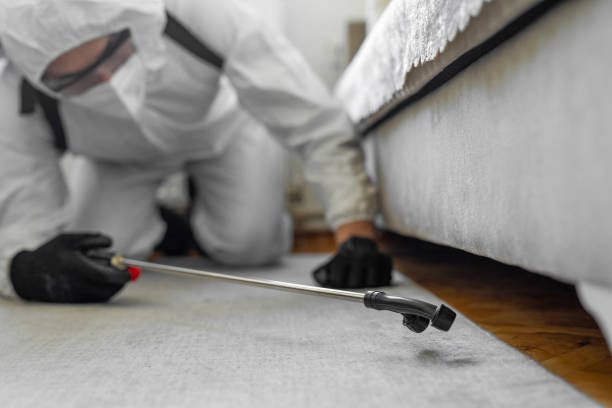 Professional Pest Control technician working in St. Paul, VA