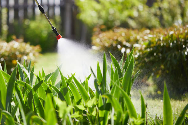24/7 Emergency Cockroach Control experts in St. Paul, VA