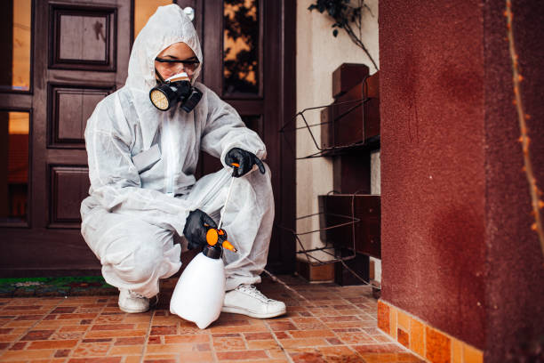 Reliable Cockroach Control contractor in St. Paul, VA by Nex Pest Control