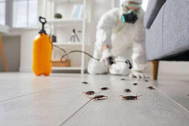 Trusted Bed Bug Control service in St. Paul, VA - Nex Pest Control